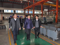 省委常委、省总工会主席李登菊一行莅临调研